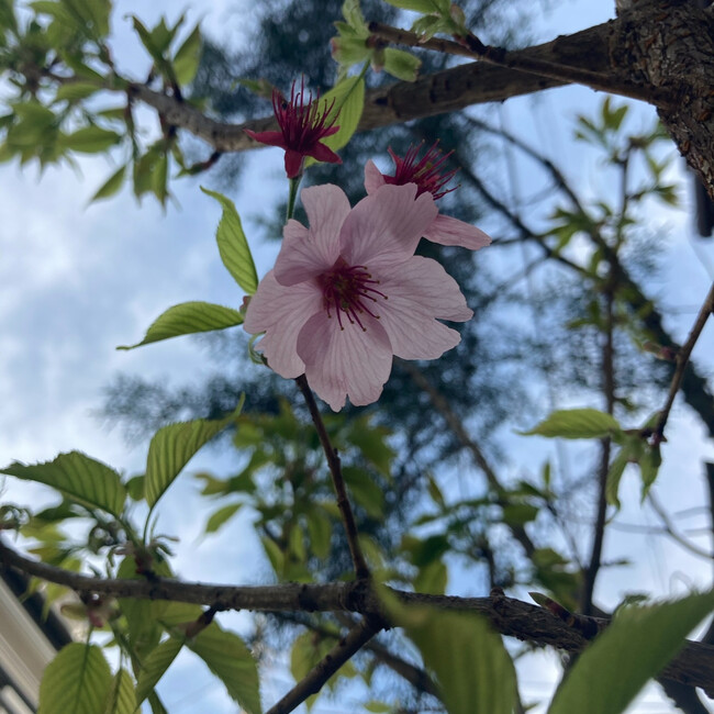 LuMiToのカバー写真
