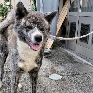 可愛がって下さる方を募集します！