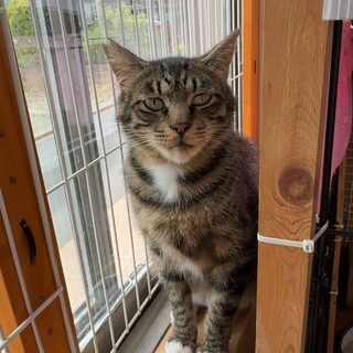 人慣れバッチリ！白手袋のつつじくん