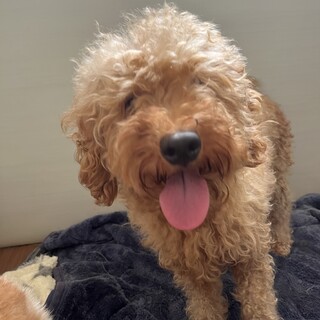 甘えん坊で優しい男の子