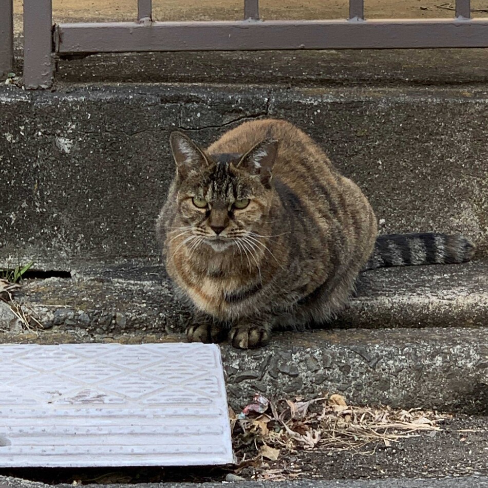 くもりのカバー写真