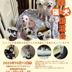 保護犬と保護猫の譲渡会 サムネイル1