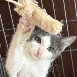 10/12さいたま市南浦和参加　ジローくん