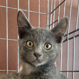 12/21カインズ浦和美園参加