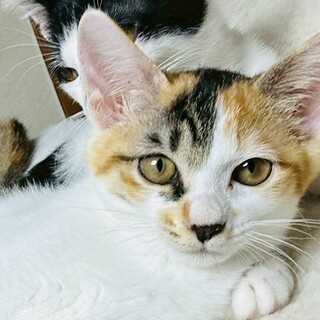 2/1荒川区荒川公園参加