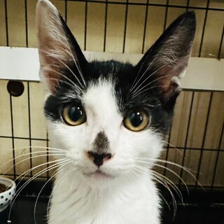 12/7荒川区荒川公園参加