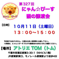譲渡会 にゃん☆ぴーす猫の譲渡会【都賀･アトリエTOM】