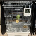 募集停止中