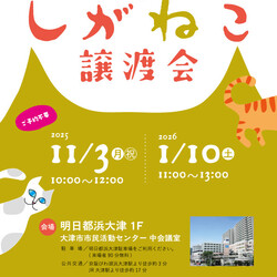 しがねこ譲渡会