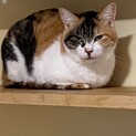 シャイだけど実は甘えん坊なミルク様♡