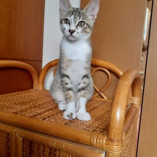 胎盤がついたまま保護した梅雨ちゃん