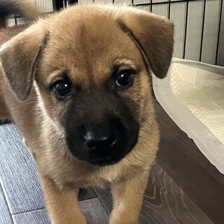 一旦募集停止します