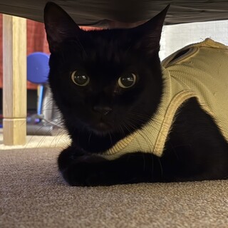 くりくりおめめの女の子♡