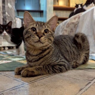 好奇心旺盛わんぱくボーイなティーダくん☆