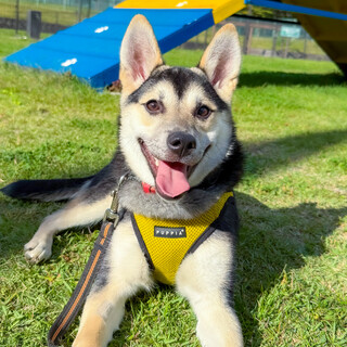 一歳の女の子【磯】