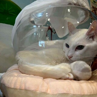 ぽっちゃりボディのかわいいゆきお♪