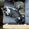 変な寝方、笑