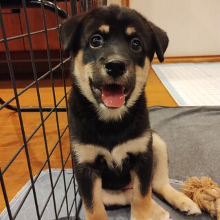 約2ヶ月半の女の子【天神】