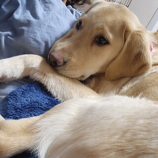 人がとても好きです。