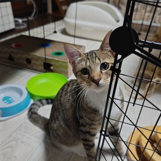 里親決定！カイくん