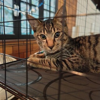 里親決定！ぼうくん