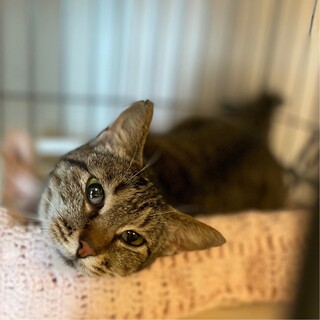 ワンちゃんとも仲良しです！❤︎ルッコラちゃん