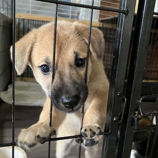 一旦募集停止します