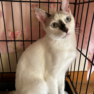 可愛い男の子アクアくん♡