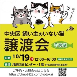 中央区飼い主のいない猫譲渡会