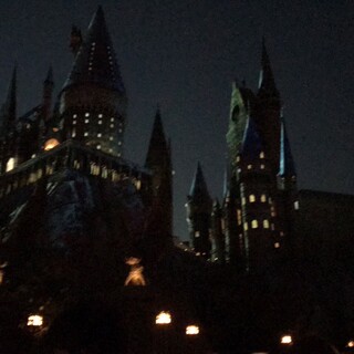 スタンダードプードル