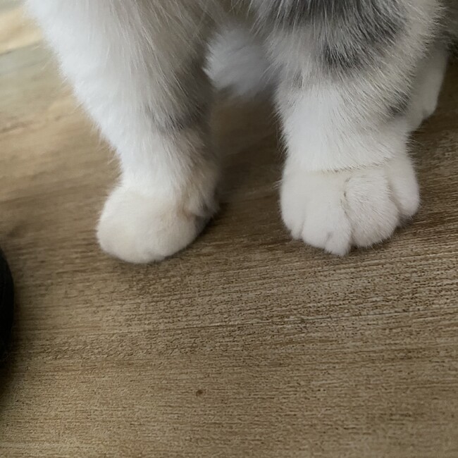 満月丸のカバー写真