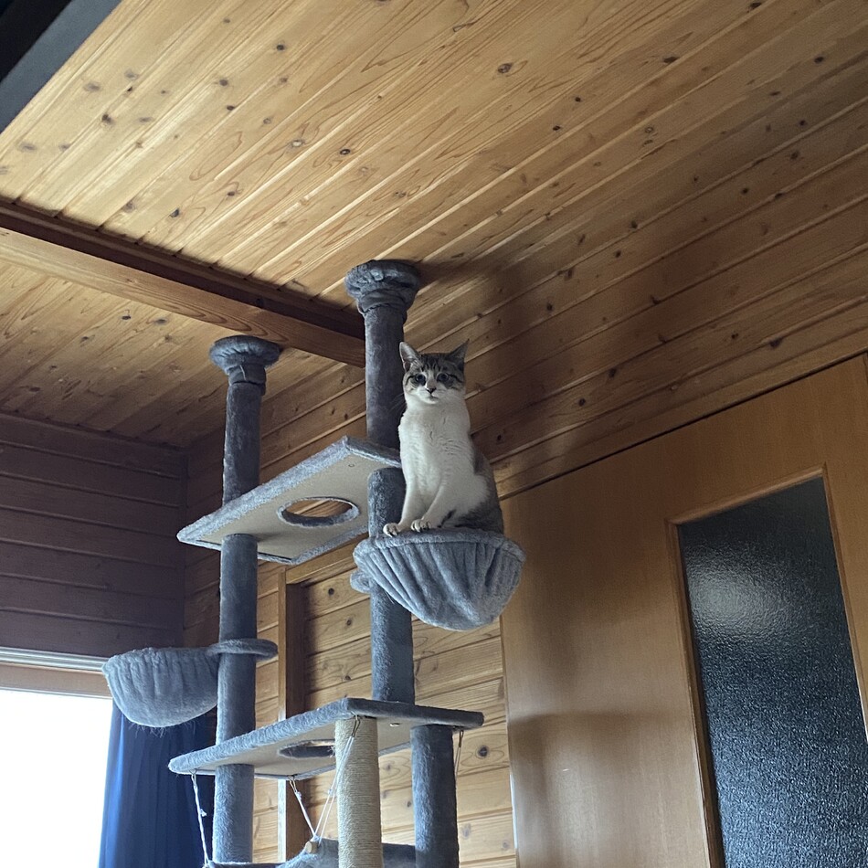 満月丸のカバー写真