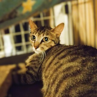 ◆3/20◆子育て頑張った小さなママ❤まる子