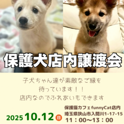 子犬の店内ふれあい譲渡会