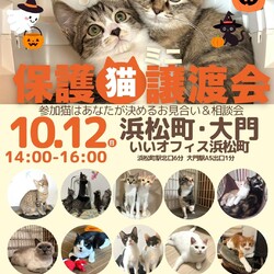 みなとねこ保護猫ミニ譲渡会＠いいオフィス浜松町