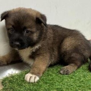 早々にお迎え有難うございました！