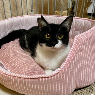 小顔で可愛い白黒女の子