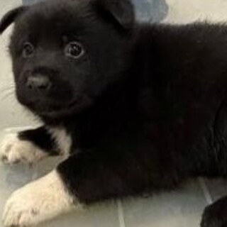 お迎えありがとうございました。