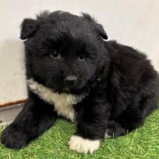 朝一番にお迎え有難うございました！