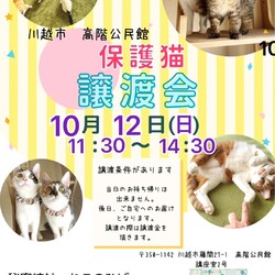 秘密結社ねこのひげ♡保護猫譲渡会