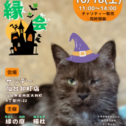 保護猫譲渡会『縁会』〜えんかい〜