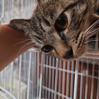 生後4〜6ヶ月くらいの男の子