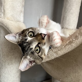 超甘えん坊な男の子です