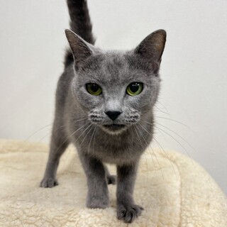 甘え上手の愛されブルーちゃん☆