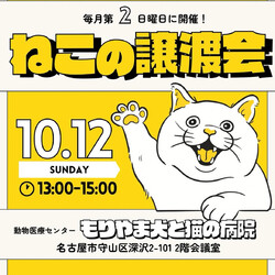 ◤ 10/12(日)保護猫譲渡会 | 名古屋 ◢