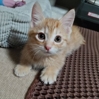 毎日が冒険！元気いっぱい♡だいず君