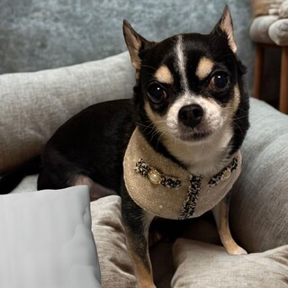 凛ちゃん⭐︎一緒に眠るの大好き