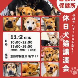 倉敷市保健所　収容犬猫譲渡会 サムネイル1