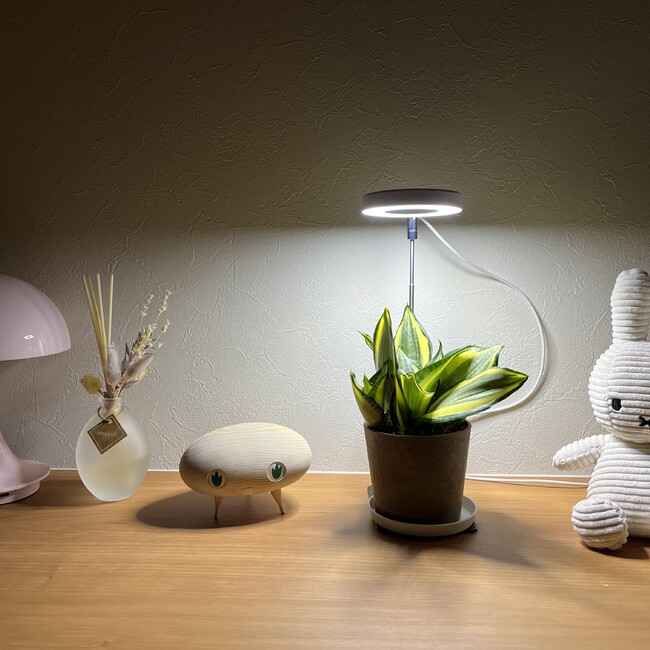 y-nakanoのカバー写真