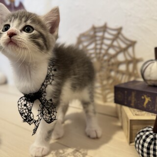 タレ目で可愛い女の子です♡